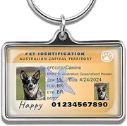 Custom Pet ID Card Tags - Personalized Dog & Cat ID Tags, Durable Stainless Steel Metal, Engraved Identification Certificate, Gift for Pet Lovers