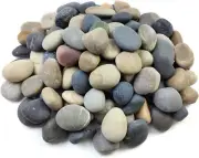 20 Lb Natural Unpolished Bulk Rocks Mexican Beach Pebbles 2-3 Inch Decor River R