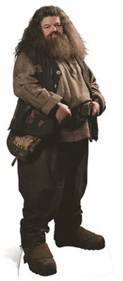 Hagrid Man / Giant HUGE CARDBOARD CUTOUT Standup Harry Potter Robbie Coltrane