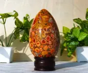 Large 130MM Yellow King Cobra Jasper Stone Minerals Metaphysical Large EGG