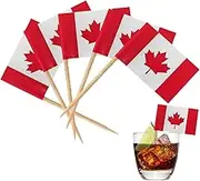 Canadian Flag Cake Topper, CA Country Toothpick Flag | Canada Day Flags, 100 Cupcake Toppers Flag, Small Stick Flags Party Decoration Celebration Cocktail Picks Food Cake Flags.