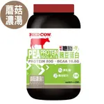 動一動商城【紅牛】聰勁豌豆分離蛋白 (2磅)(2種口味)
