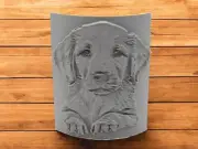 Clay Pottery Stamp featuring Labrador Dog Texture Image