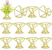 Funrous 12 Pcs Air Plant Holders Geometric Gold Airplants Rack Metal Geometric Decor Classic Modern Air Fern Plant Stands Mini Golden Planters Tillandsia Pot Containers for Office Home Wedding