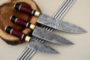 Damascus steel handmade Sheff knife 3 pic makarta wood handle with sheath