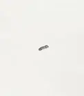 Elena Volpato Maria Morganti. Catalogo della mostra (Tor (Paperback) (US IMPORT)