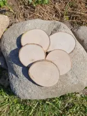 Wooden Log Discs №2 Wood Slices 2-11cm Round Wedding Coasters Saw cuts for DIY
