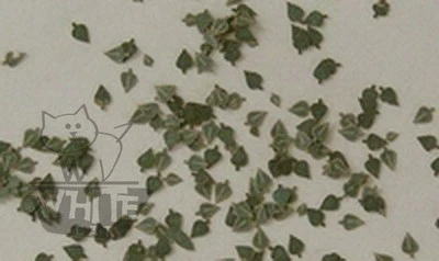 Reality in Scale 1:32 1:35 Birch Leaves (c. 100pcs.) - Green L3004*