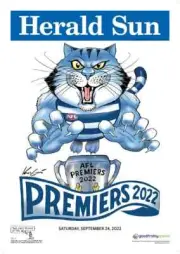 2022 MARK KNIGHT PREMIERSHIP POSTER UNFRAMED GEELONG CATS AFL GRAND FINAL