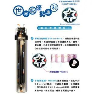 Everpure S100單道淨水器 / 無鉛龍頭