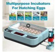 Egg Incubator, Egg Incubator with Automatic Egg Turning and Humidity Monitoring,