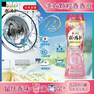 【日本P&G】頂級12週衣物芳香顆粒香香豆-牡丹花香 紅蓋520ml/罐裝(滾筒直立式洗衣機適用-5年效平輸品)