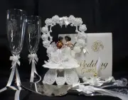 Aladdin & Jasmin Wedding Cake Topper LOT Glasses server set DISNEY ( No Book)