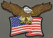 American Flag with Eagle patch