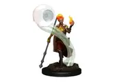 Dungeons and Dragons Premium Female Fire Genasi Wizard Pre-Painted Figure