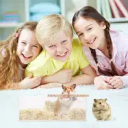 Bathing Platform Urinary Basin Sandboxes Hamsters Animal Feeding Tubs