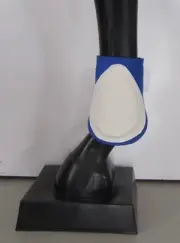Horse Back or Fetlock Boots AUSTRALIAN MADE Royal blue & White Pick your size