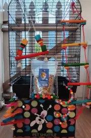 Watson &Williams Perch Top Birdcage