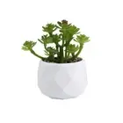Artificial Potted Plant Succulent W/ Pot Small Faux R7L8 Decor Fake Cacti L4E4