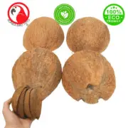 Bonka Bird Toys 3275 Pk4 Half Shell Coconuts with Fiber DIY Part Craft Parrot