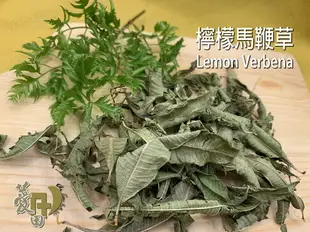 {薆田}土耳其乾燥花草茶 調茶高手 風味自行決定大馬士革玫瑰 紫錐菊 真正薰衣草 香蜂草 貞節果 杜松果 玫瑰果 聖約翰草 奧勒岡 蜀葵 甜馬鬱蘭等 純露