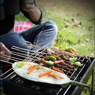 迷你便攜式折疊烤肉架碳烤爐戶外野營野炊家用燒烤爐