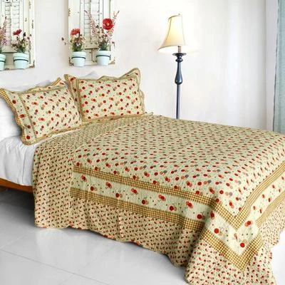 3 PC Astral balloons checks purple red pink beige 100% Cotton Queen Quilt Shams