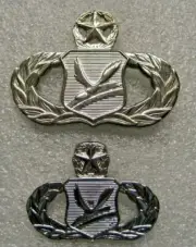 /US Air Force Badge Master Chapel Mgt. lot of 2 badges