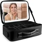 Large Makeup Train Case with Mirror and Light, Travel Makeup Bag Cosmetic Organi