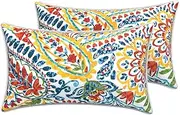 LVTXIII Outdoor Lumbar Pillow Covers 12"x20", Covers ONLY, 2 Pack 30x50cm Lumbar Cushion Cover with White Piping for Home Patio Garden Sofa Bench, Paisley Multi