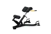 Reeplex 45 Degree Hyper Extension Bench