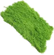 CANIGHT Realistic Simulated Moss Artificial Moss Turf for Garden Miniature Landscape Accessory