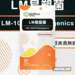 LM易塑菌 30顆/盒🌸WELLFOUR 衛芙生醫 韓國專利認證 LM-1004專利增強型享瘦菌 嗜酸乳桿菌 酵母鉻