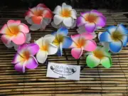 Frangipani Hair Clips/Claw Clips medium & large packs x 10pcs