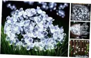 Flower Fairy Light Battery Operated Indoor String Lights 30LED Cherry Blossom