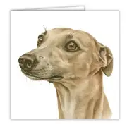 WaggyDogz Blank Greeting Card Whippet Fawn dog Sold Set/2 identical cards