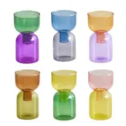 2pc Set Mini Vases Terrarium Hydroponic Plant Pot Glass Vase Wedding Flowers Can