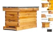 5 Frame Bee Hive Nuc Box Coated with 100% Beeswax Includes Beehive 5-frame