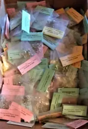 DEALER LOT 25 PACKS Jewelry Repair Kit Clutches Earwires Jump Spring Rings More