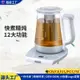 免運開發票 美規110V電器養生壺多功能電煎藥辦公室煮茶器黑茶花茶壺工廠批發-快速出貨