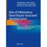 ATLAS OF INFLAMMATORY BOWEL DISEASE-ASSOCIATED INTESTINAL CANCER: EXAMINING THE MACROSCOPIC IMAGES OF SMALL AND LARGE INTESTINE