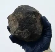 Meteorite 8 Pounds 12 Oz New York (SALE ENDS May 31st)