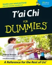 T'Ai CHI for Dummies Paperback - 2001 by Therese Iknoian and Manny Fuentes