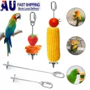 Stainless Steel Parrot Cage Skewer Meat Stick Food Stick Spear Fruit Holder Toys