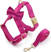 IUOUTG No Pull Dog Vest Harness with Leash Set Front D-Ring Clip Helps Stop Pulling Adjustable Step-in Pet Vest for Small Dog L