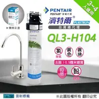 在飛比找森森購物網優惠-【濱特爾公司貨】Everpure QL3-H104 單道淨水