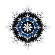 Dungeons & Dragons Limited Edition Neverwinter Heraldry Medallion