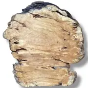 Large Tasmanian Oak Burl Slab Wood 790x730x40mm - Wildfire Black Live Edge