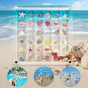 [HangYa] Acrylic Magnetic Seashell Display Box 36 Grids Transparent Shell Collection Case Shell Display Case Seashell Display Case for Mini Seashells Jewelry Small Collectibles
