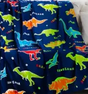 Jekeno Glow in the Dark Blanket Dinosaur Throw Blanket for Boys Kids Soft Warm